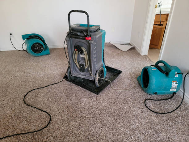 Best Water damage restoration insurance claims  in Greensboro, GA