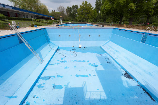 Best Professional water damage repair  in Greensboro, GA