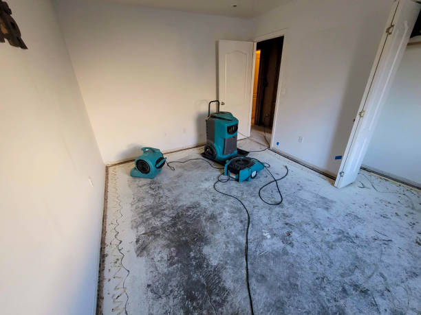 Best Water damage restoration near me  in Greensboro, GA