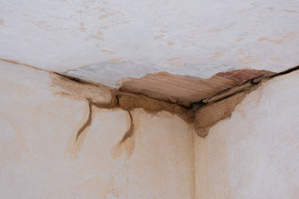 Best Emergency water extraction  in Greensboro, GA