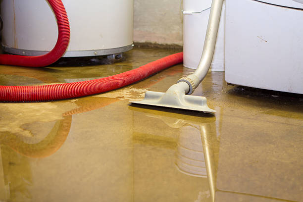 Best Fire Damage Restoration  in Greensboro, GA