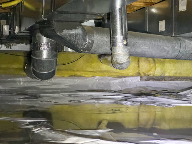 Best Water damage contractors near me  in Greensboro, GA