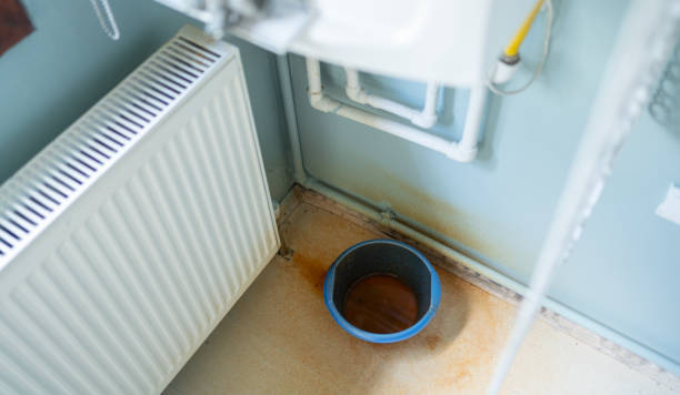 Best Mold removal after water damage  in Greensboro, GA