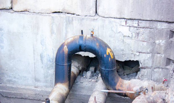 Best Water damage repair service  in Greensboro, GA