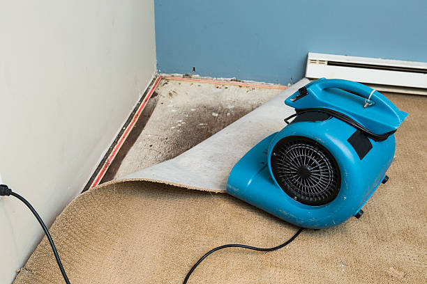 Best Flood damage cleanup  in Greensboro, GA